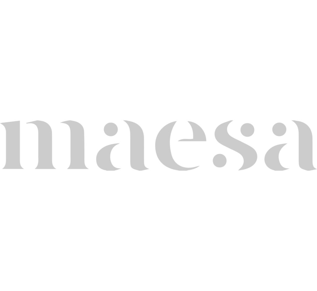 LOGO_MAESA copia